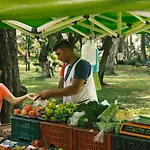 Casa de Pinos Hotel Boutique