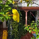 Tatami Hostel
