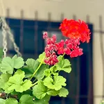 Hermosa Habitacion El Galapo - Zapatoca