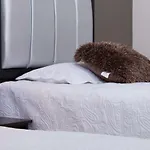 Hotel Nuevo Marazul Bucaramanga