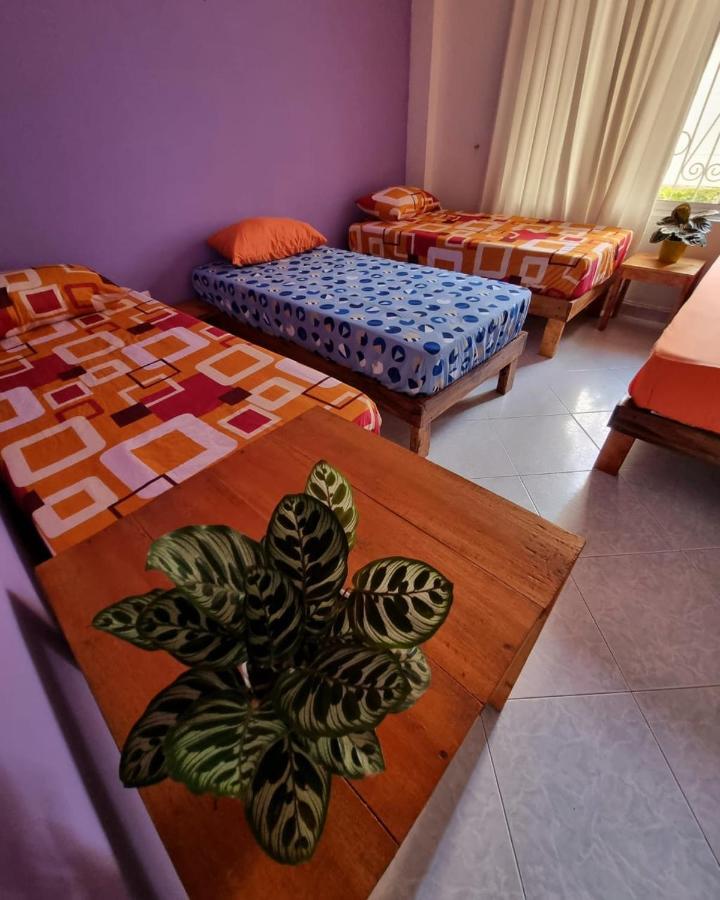 Tatami Hostel