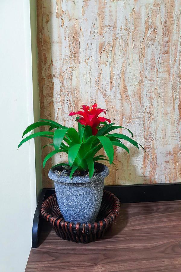 Homestay Gabo Bucaramanga