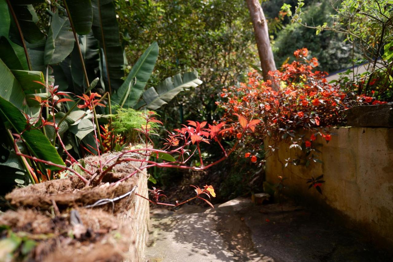 Casa Colibri Campestre Villa Bucaramanga
