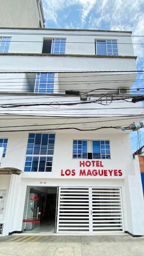 Hotel Magueyes