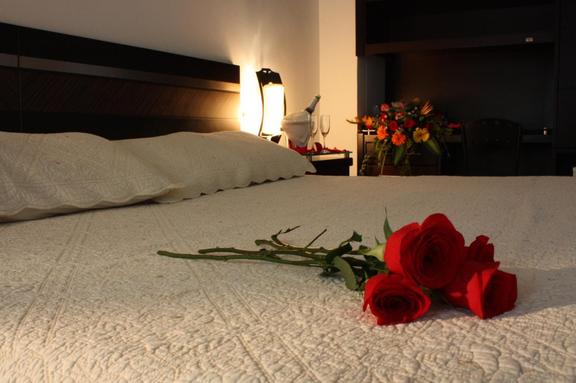 San José Plaza Hotel Bucaramanga