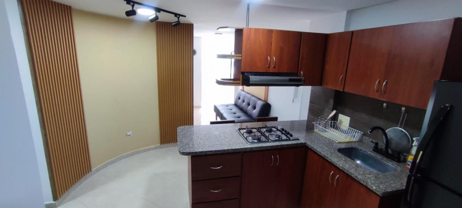 Apartment Elegante E Innovador En San Alonso