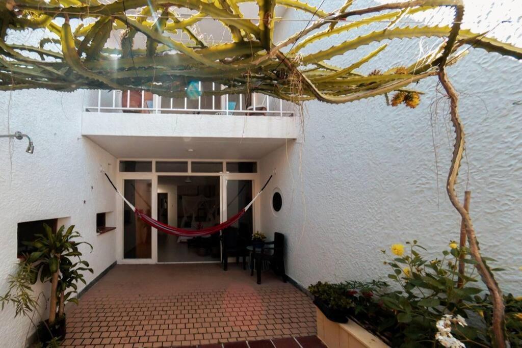 La Jardinatta Bucaramanga