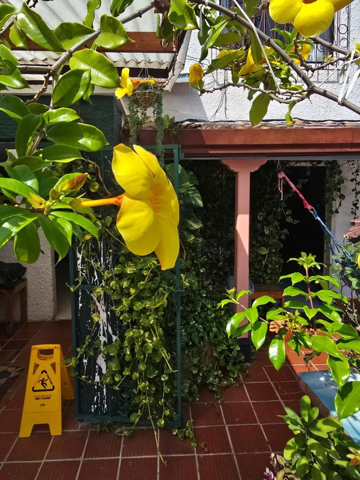 Tatami * Bucaramanga