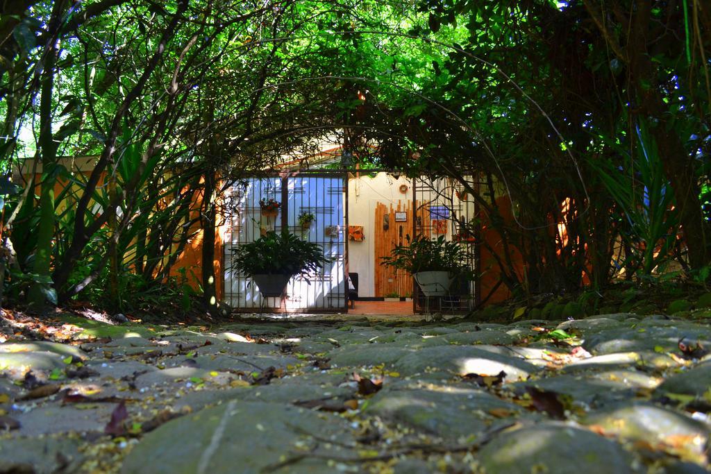 Hostal Hostal Chitota Bucaramanga