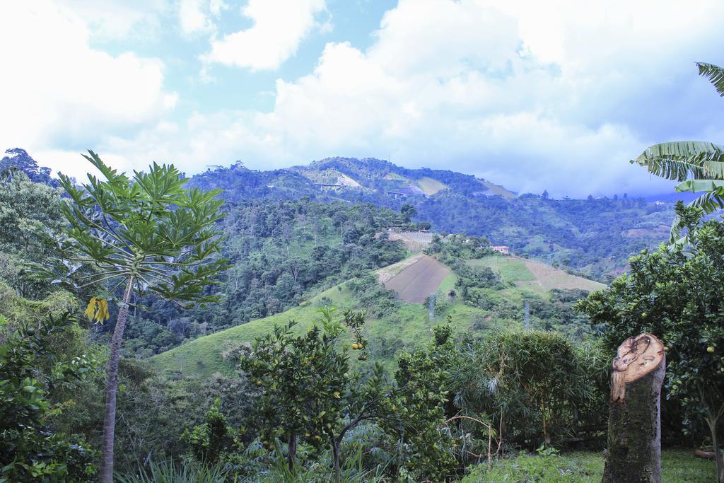 Campestre Panorama