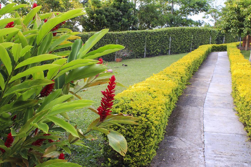 Campestre Panorama *