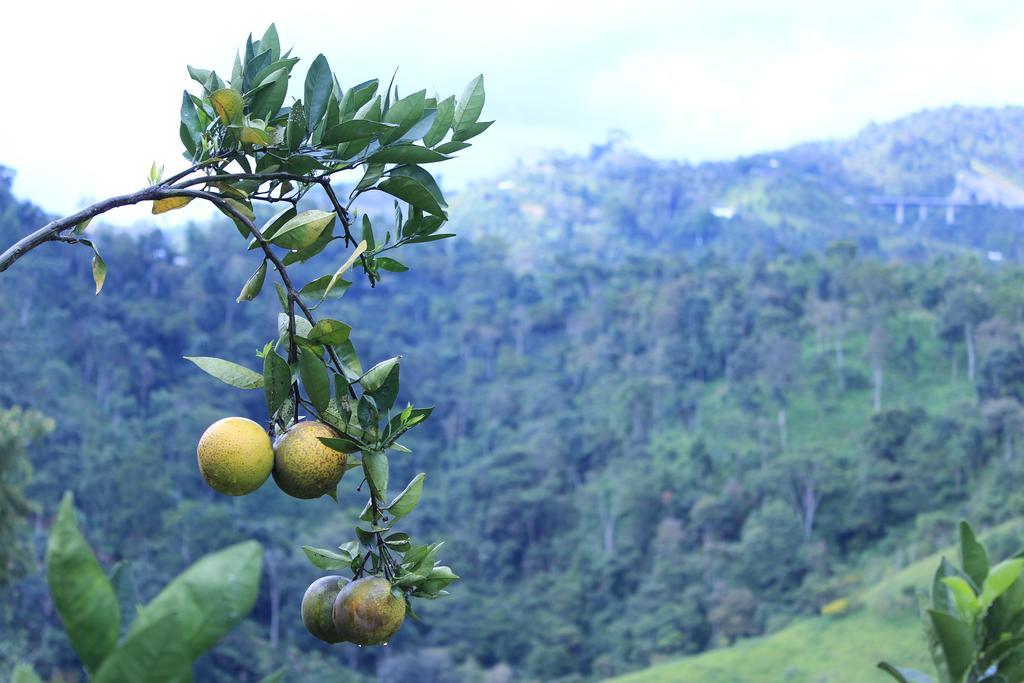Campestre Panorama * Bucaramanga