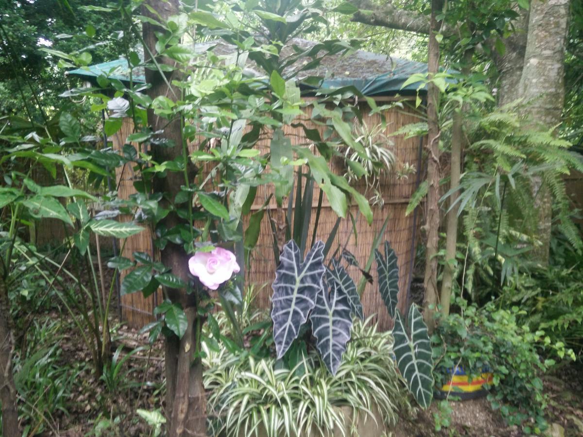 Hostal Chitota Bucaramanga