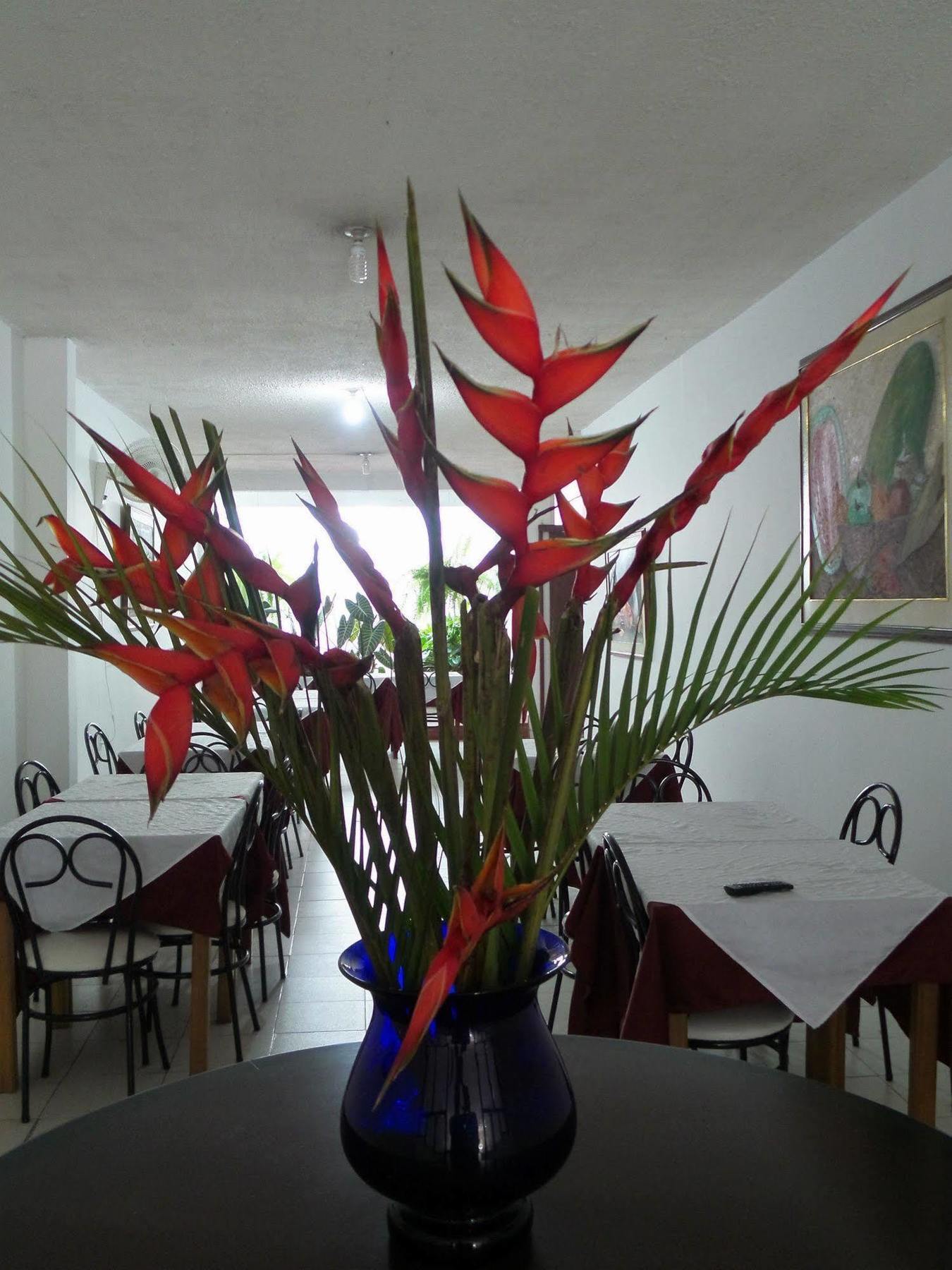 Hotel Houston Hotel Bucaramanga