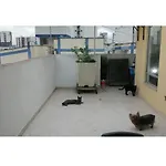 Habitacion Privada En Apartamento Con Terraza