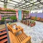 Hotel Anauco