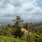 El Cedro Ecolodge