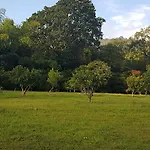 Finca El Pinar