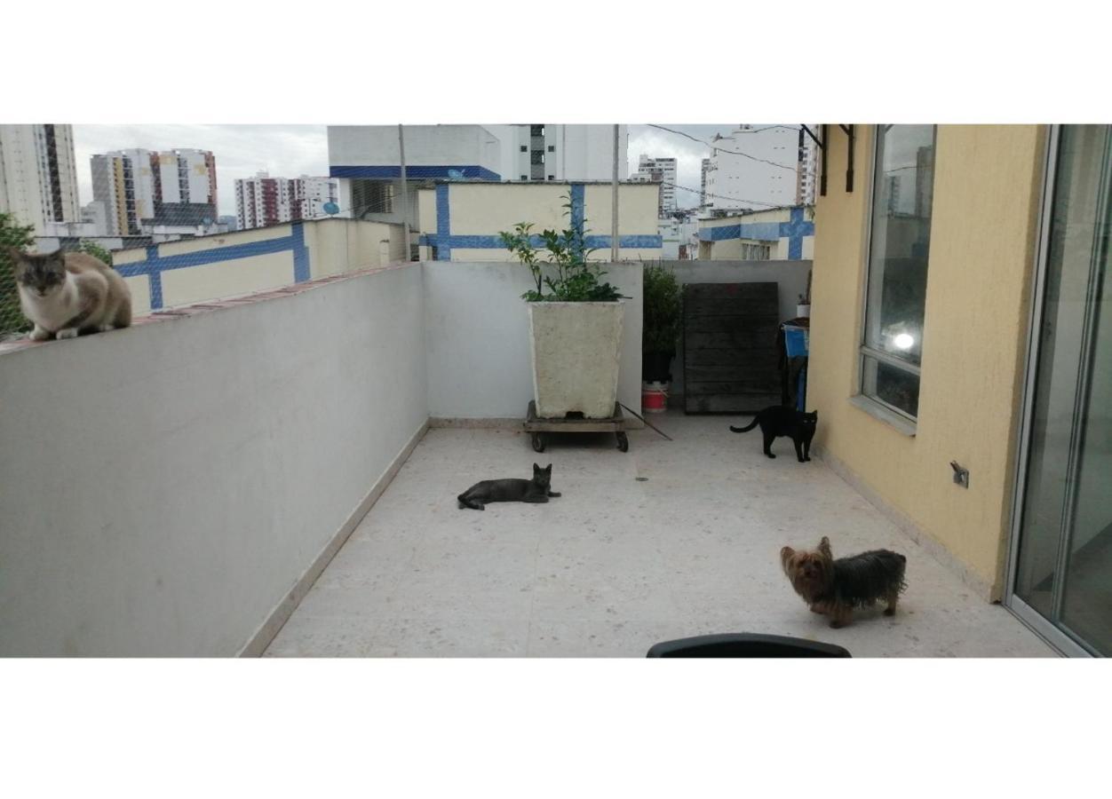 Habitacion Privada En Apartamento Con Terraza Bucaramanga