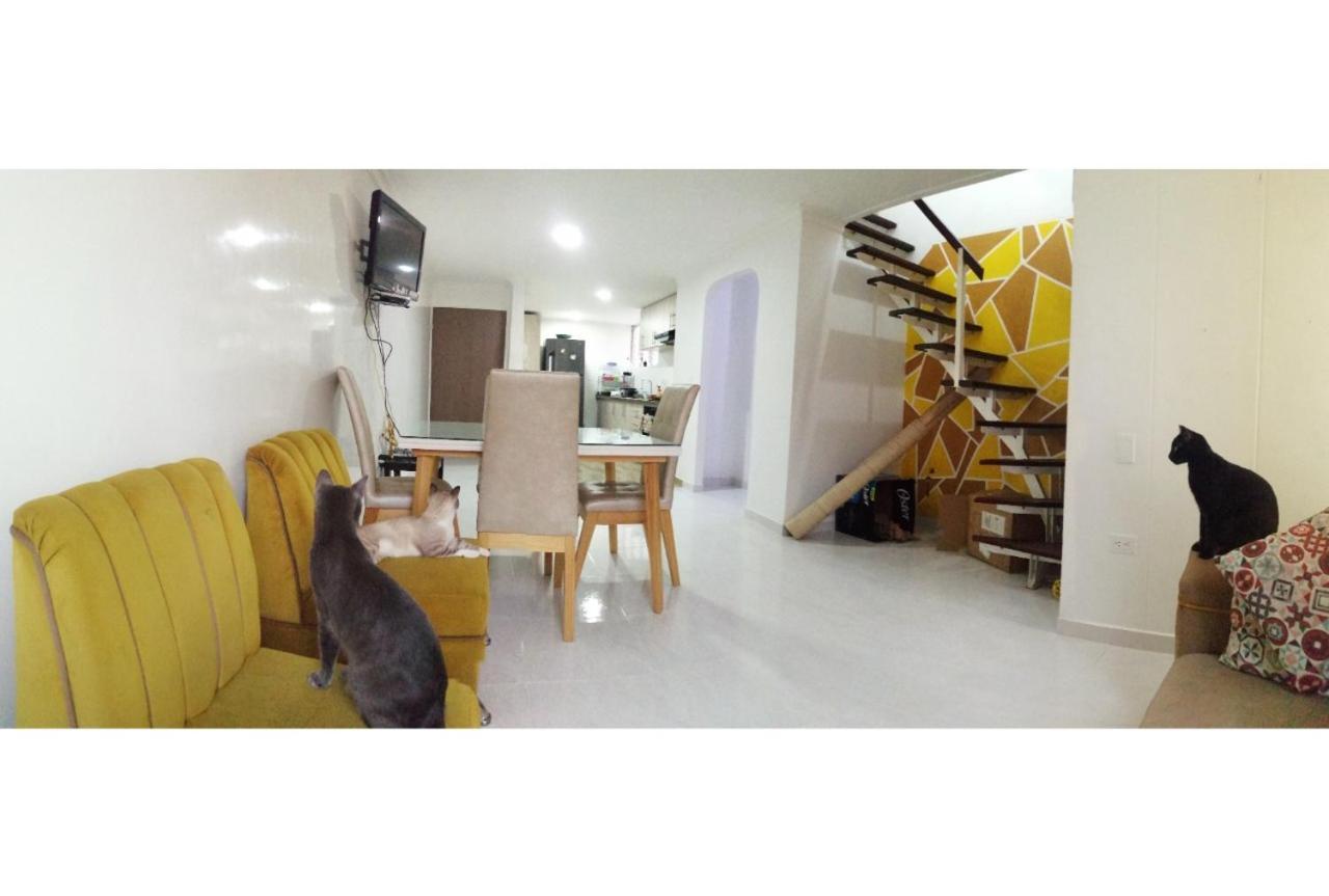 Habitacion Privada En Apartamento Con Terraza Homestay *