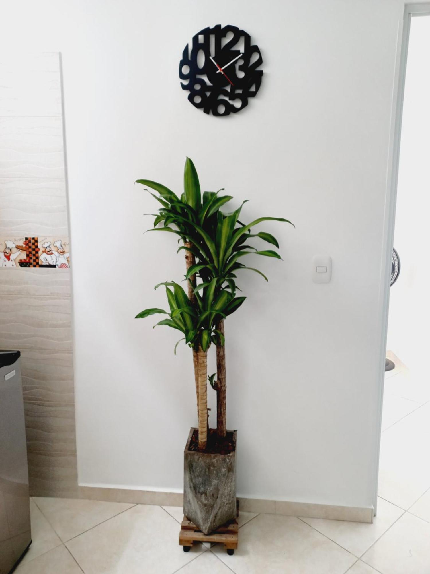 Apartment En Real De Minas