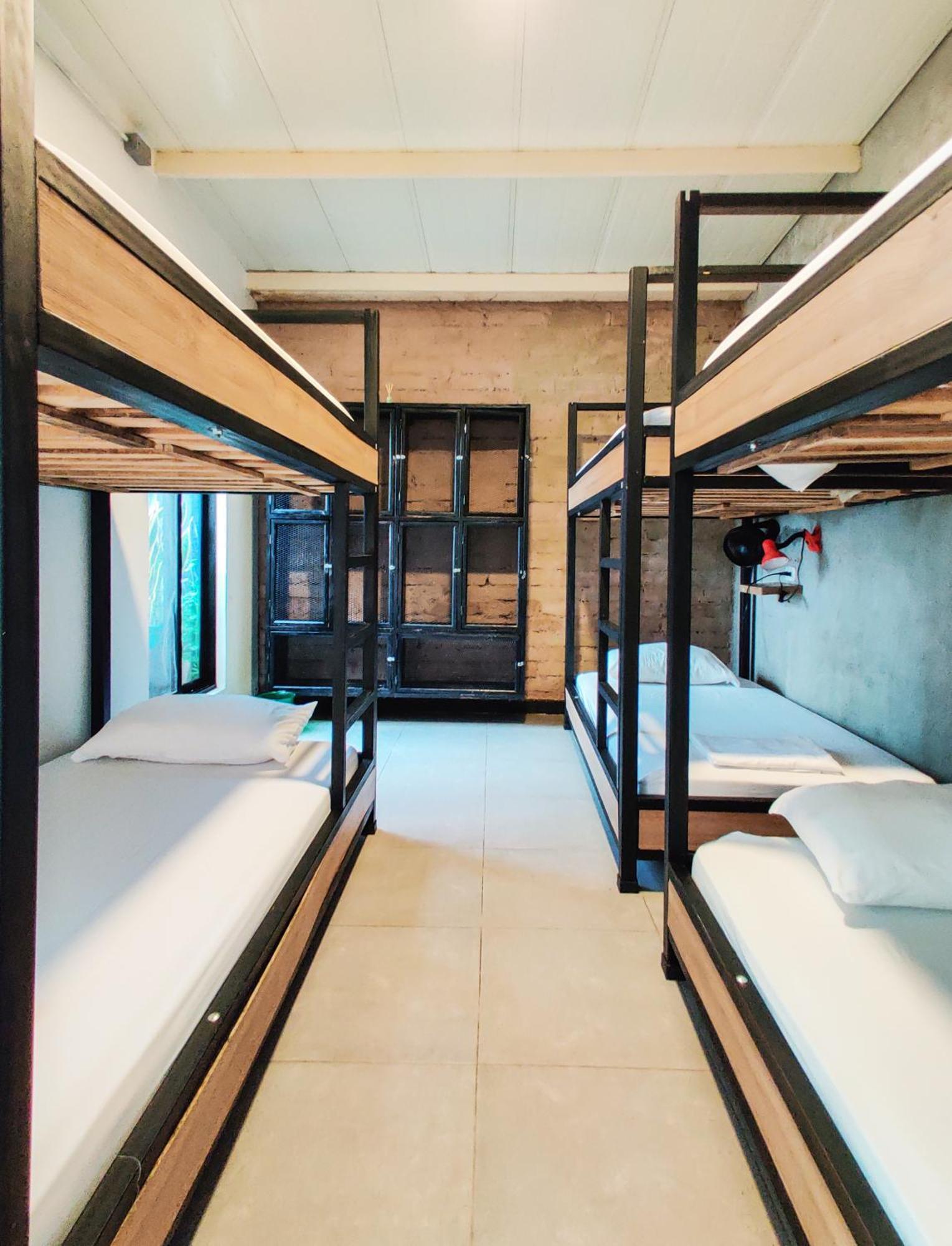 Zamia Hostel