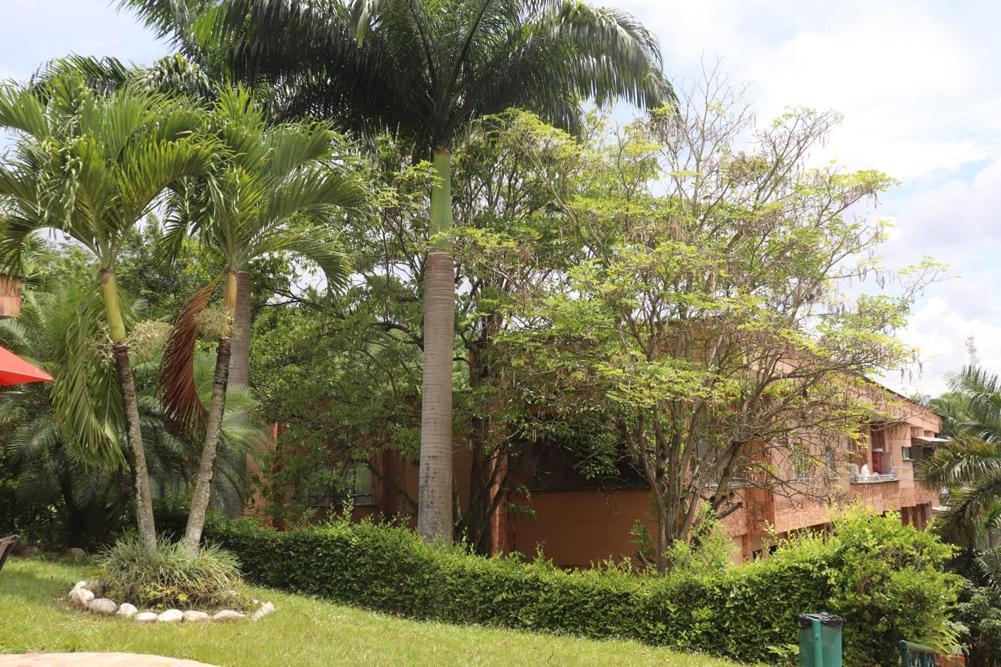 Palmera Real Hotel Bucaramanga