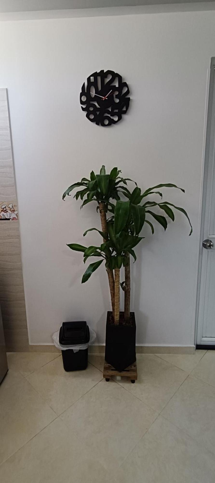 Apartment En Real De Minas *