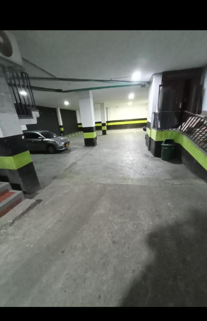 Leon Dorado Bucaramanga