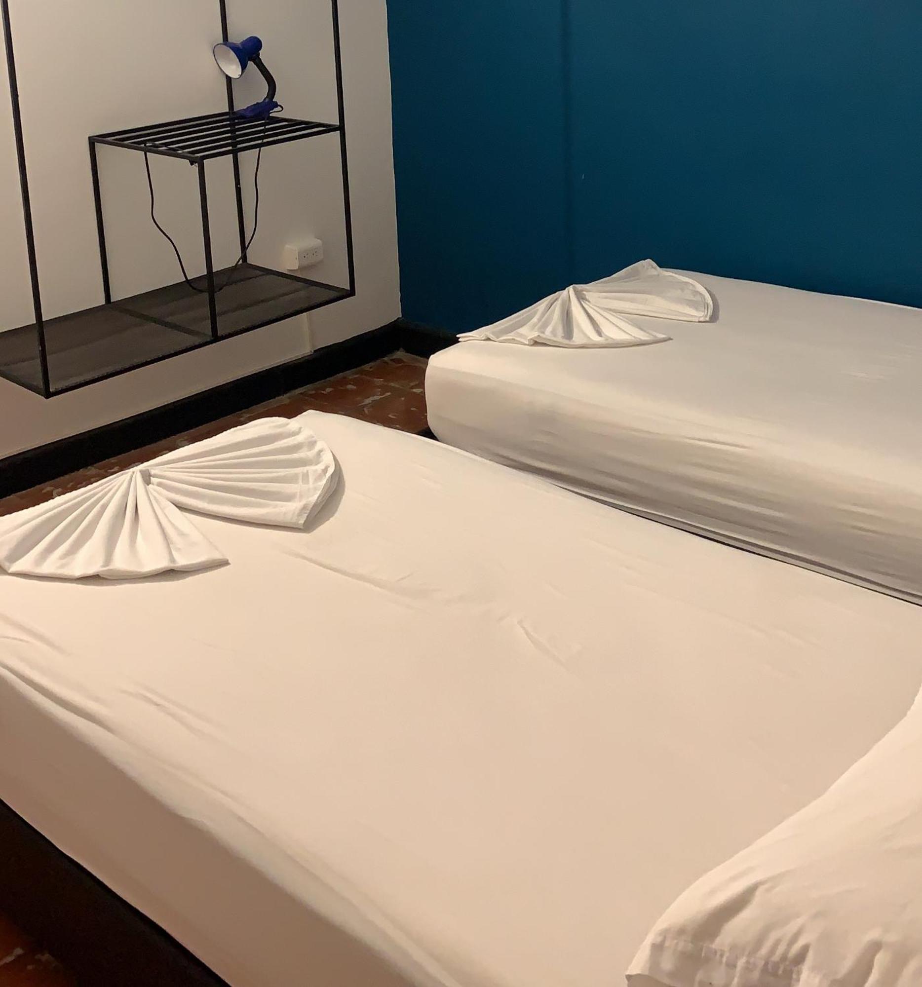 Hostel Zamia