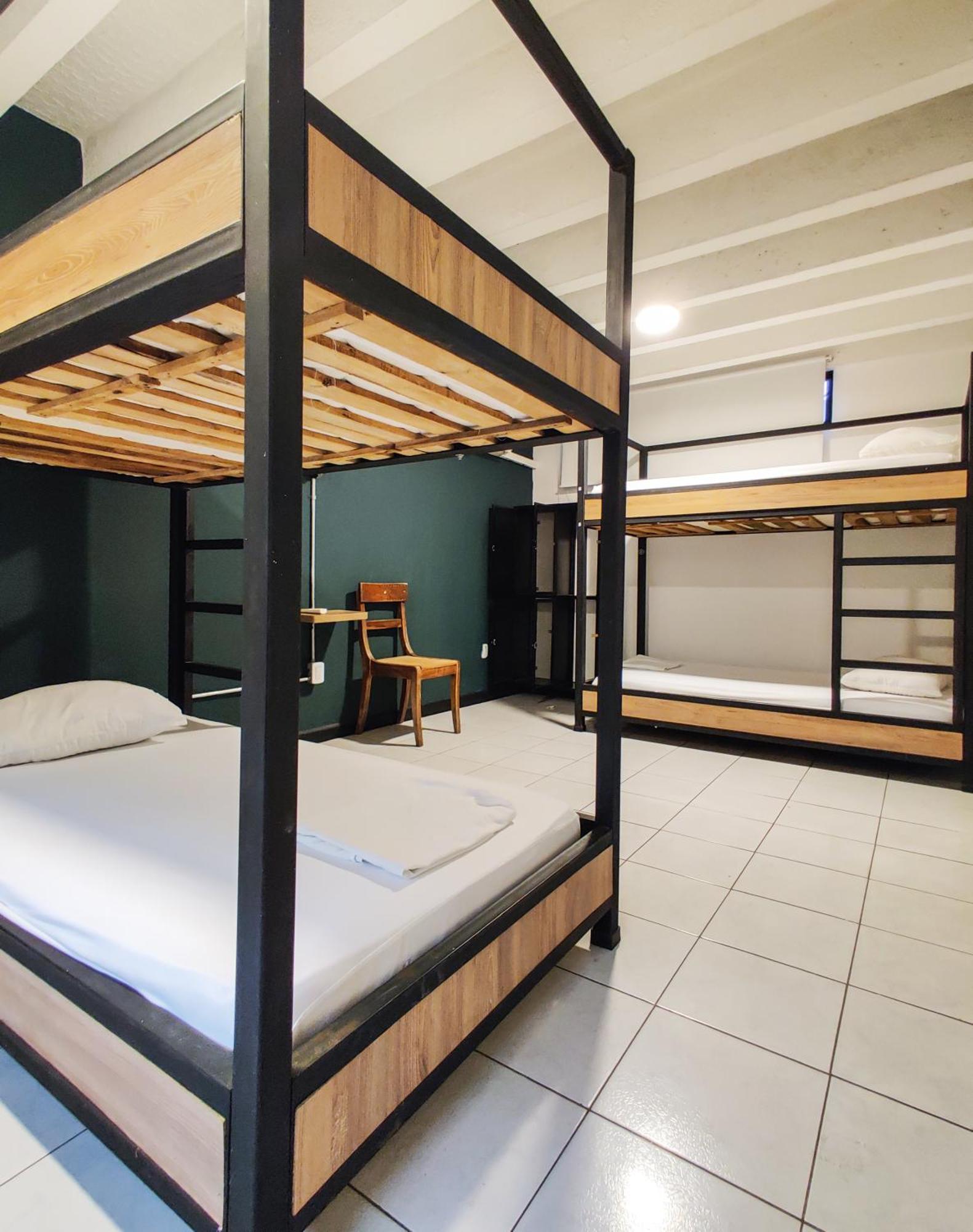 Hostel Zamia *