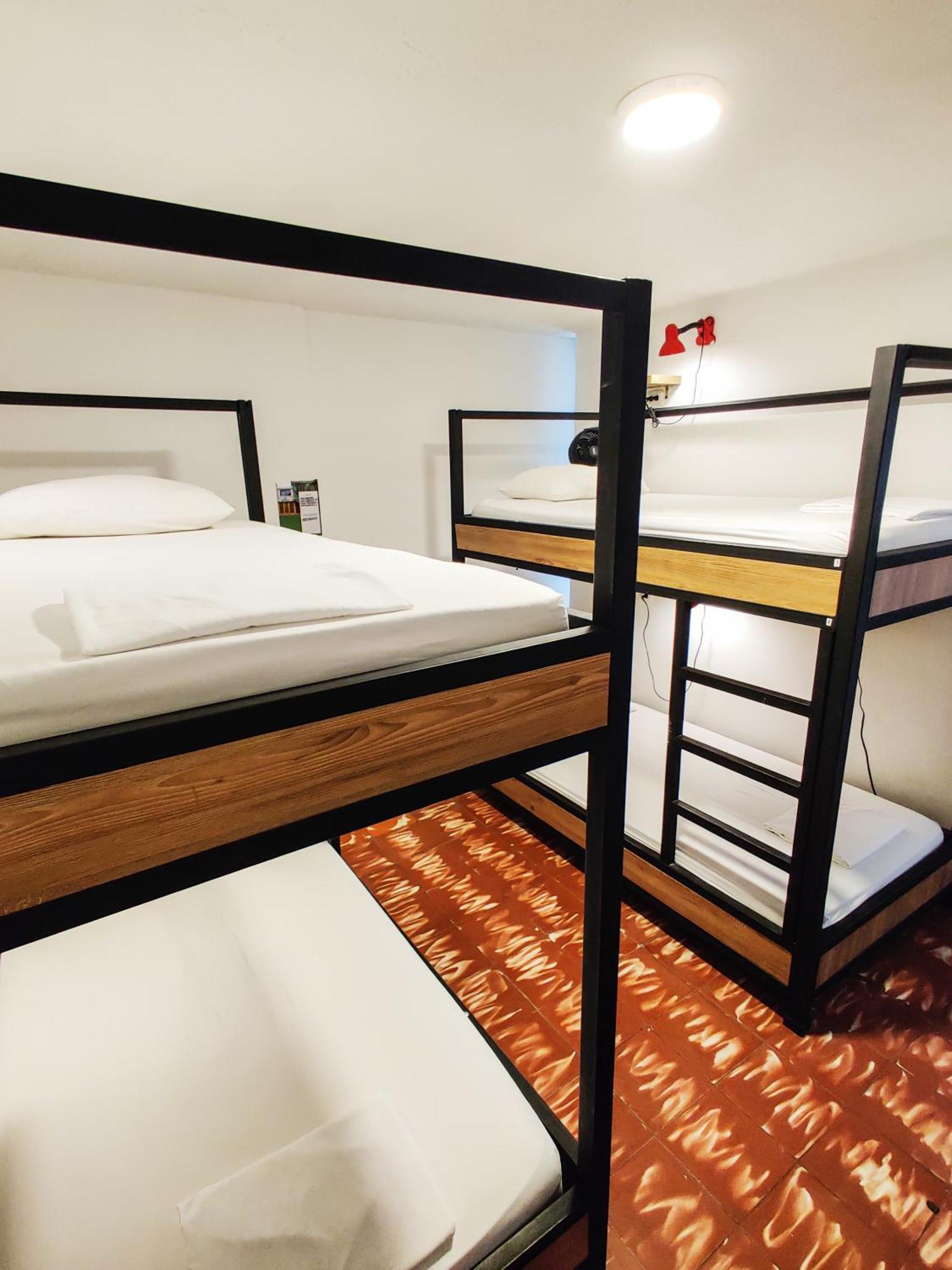 Zamia Hostel