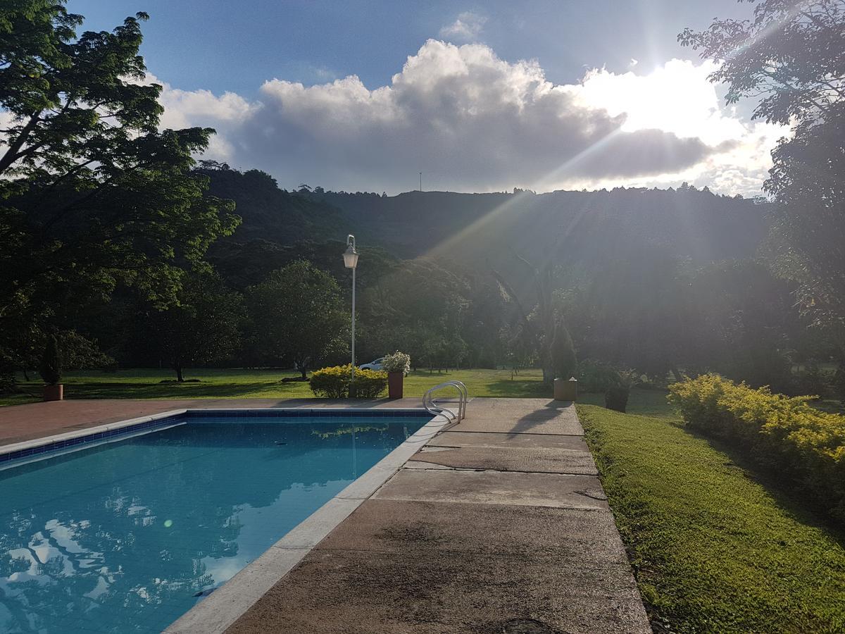 Finca El Pinar Casa rural *
