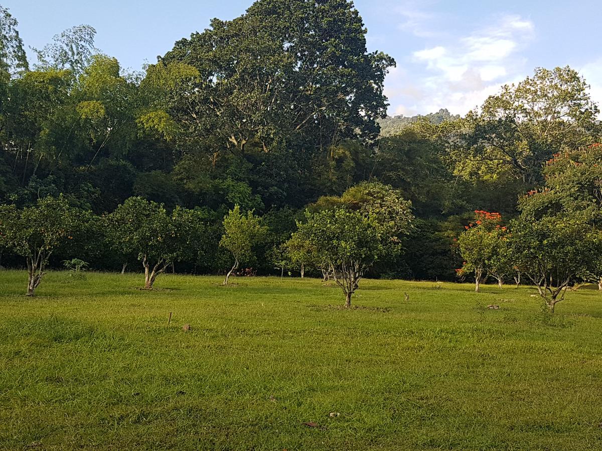 Finca El Pinar Casa rural *