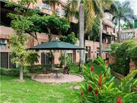 Palmera Real
